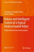 Robust and Intelligent Control of a Typical Underactuated Robot
