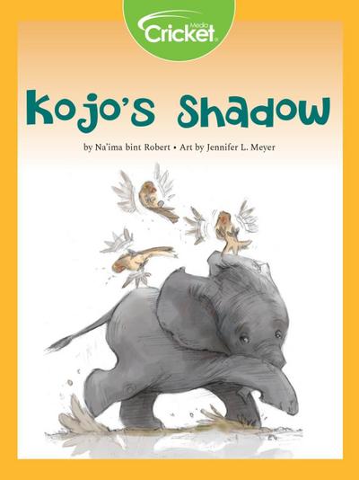 Kojo’s Shadow