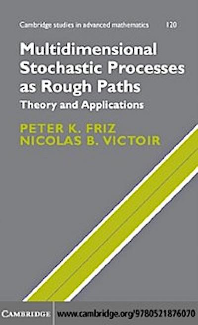Multidimensional Stochastic Processes as Rough Paths
