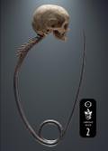 Underland Arcana 2
