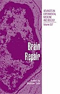 Brain Repair