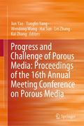 Progress and Challenge of Porous Media: Proceeding
