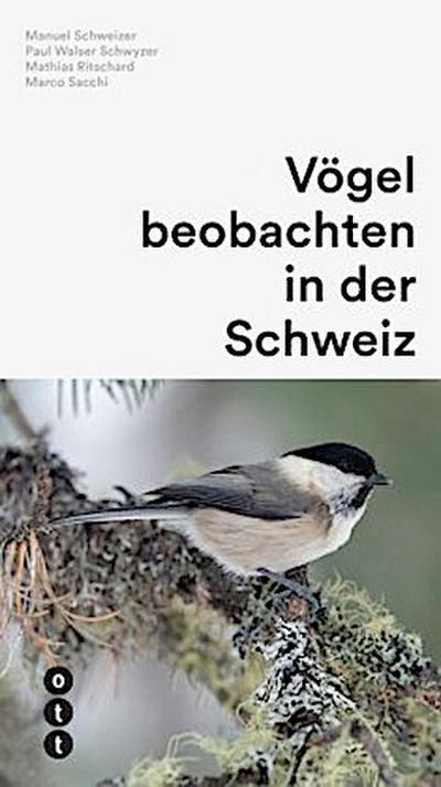 Vögel beobachten in der Schweiz