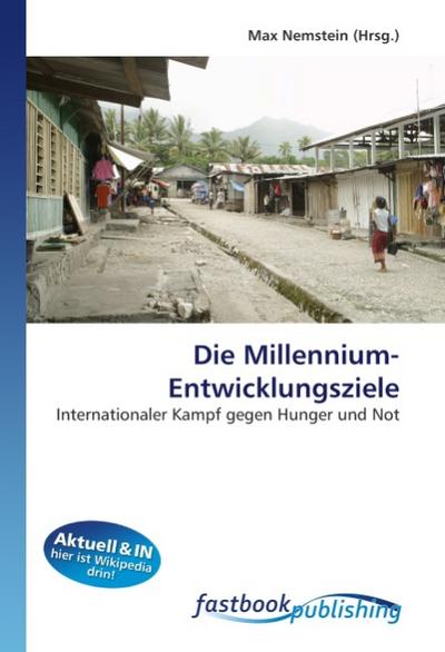 Die Millennium-Entwicklungsziele - Max Nemstein
