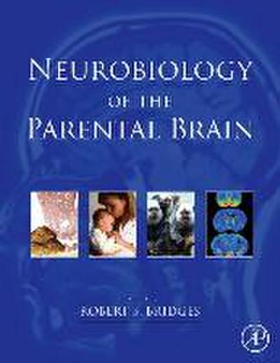 Neurobiology of the Parental Brain