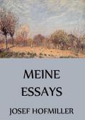 Meine Essays