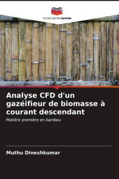 Analyse CFD d’un gazéifieur de biomasse à courant descendant