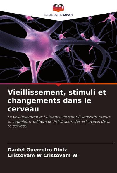 Vieillissement, stimuli et changements dans le cerveau