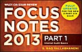 Wiley CIA Exam Review 2013 Focus Notes - S. Rao Vallabhaneni