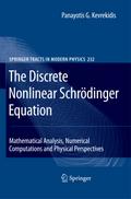 The Discrete Nonlinear Schrödinger Equation