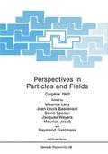 Perspectives in Particles and Fields