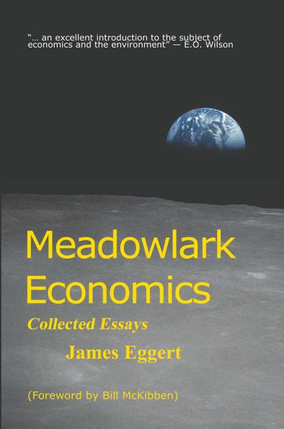 Meadowlark Economics