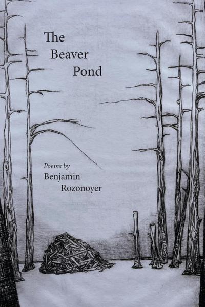 The Beaver Pond