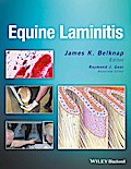 Equine Laminitis