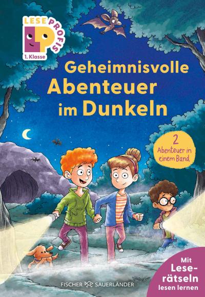 Leseprofis - Geheimnisvolle Abenteuer im Dunkeln, 1. Klasse (Doppelband)
