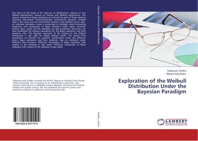 Exploration of the Weibull Distribution Under the Bayesian Paradigm