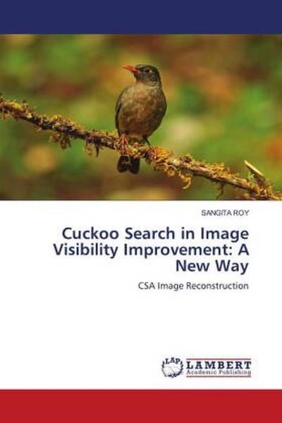 Cuckoo Search in Image Visibility Improvement: A New Way
