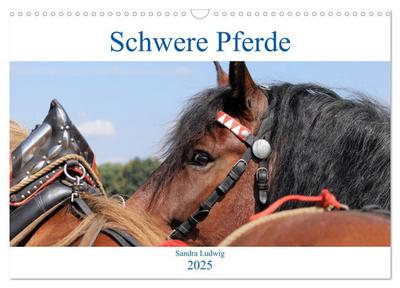 Schwere Pferde 2025 (Wandkalender 2025 DIN A3 quer), CALVENDO Monatskalender