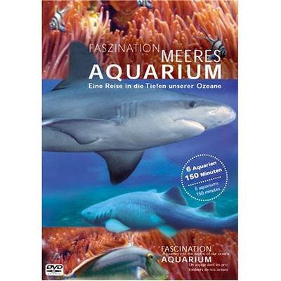 Faszination Meeres Aquarium