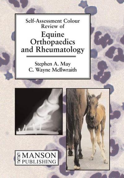 Equine Orthopaedics and Rheumatology