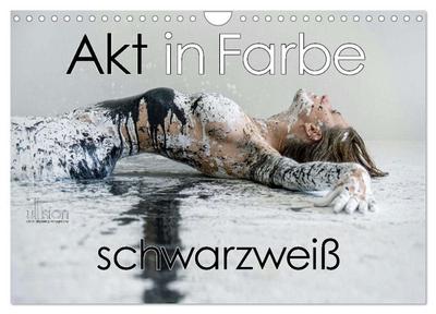 Akt in Farbe - schwarzweiß (Wandkalender 2026 DIN A4 quer), CALVENDO Monatskalender