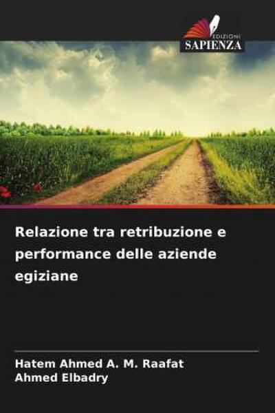 Relazione tra retribuzione e performance delle aziende egiziane