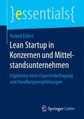 Lean Startup in Konzernen und Mittelstandsunterneh