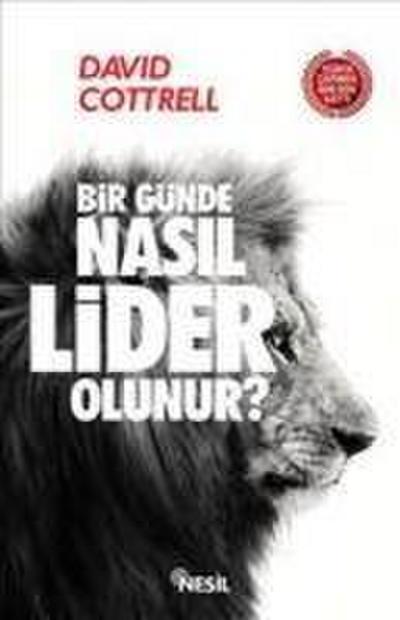 Bir Günde Nasil Lider Olunur