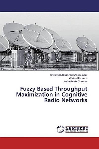 Fuzzy Based Throughput Maximization in Cognitive Radio Networks