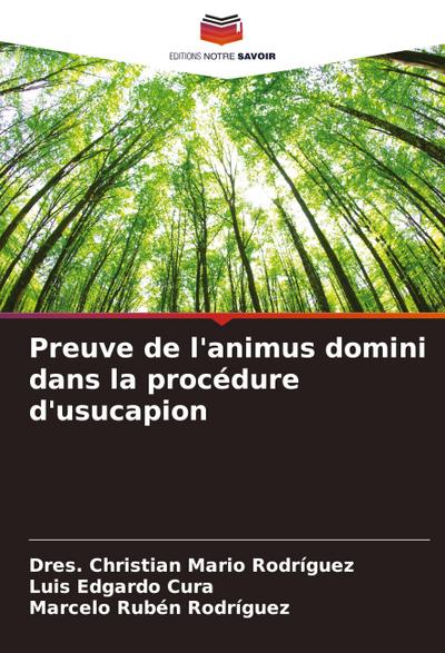 Preuve de l’animus domini dans la procédure d’usucapion
