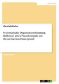 Systematische Organisationsberatung. Reflexion eines Praxisbeispiels mit theoretischem Hintergrund
