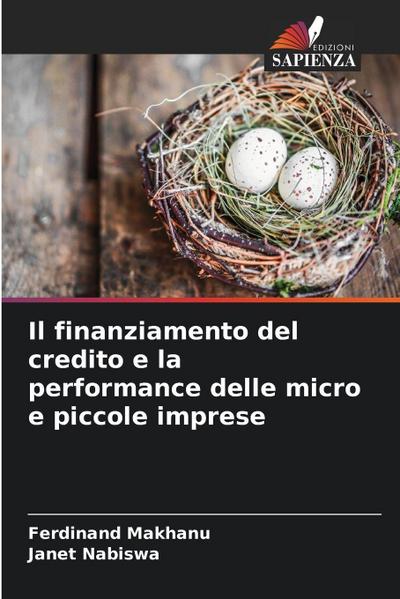 Il finanziamento del credito e la performance delle micro e piccole imprese