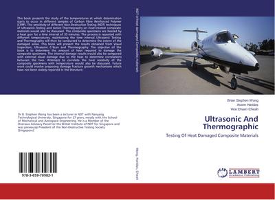 Ultrasonic And Thermographic