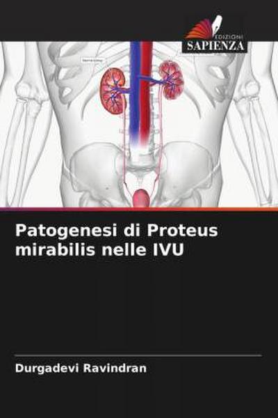 Patogenesi di Proteus mirabilis nelle IVU