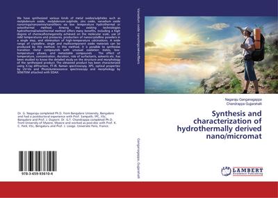 Synthesis and characterization of hydrothermally derived nano/micromat