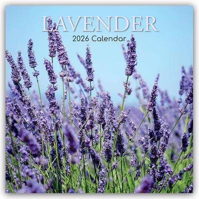 Lavender - Lavendel 2026 - 16-Monatskalender